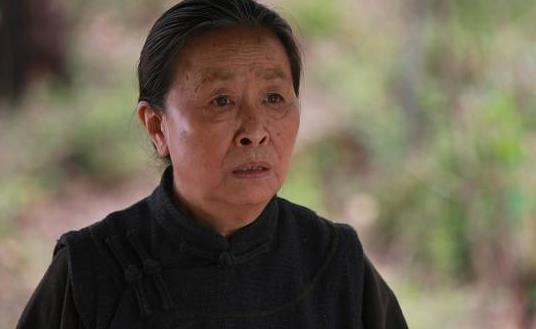張少華個(gè)人資料簡(jiǎn)介 老戲骨張少華圖片 張少華演過的電視劇