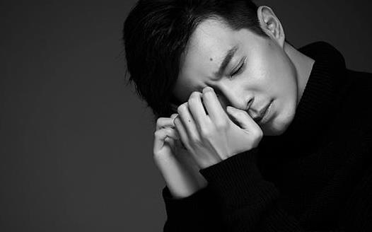 劉智揚(yáng)個(gè)人資料簡(jiǎn)介 演員劉智揚(yáng)圖片 劉智揚(yáng)演過的電視劇