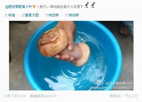 當(dāng)事記者在微博上發(fā)問(wèn)所謂的肉靈芝