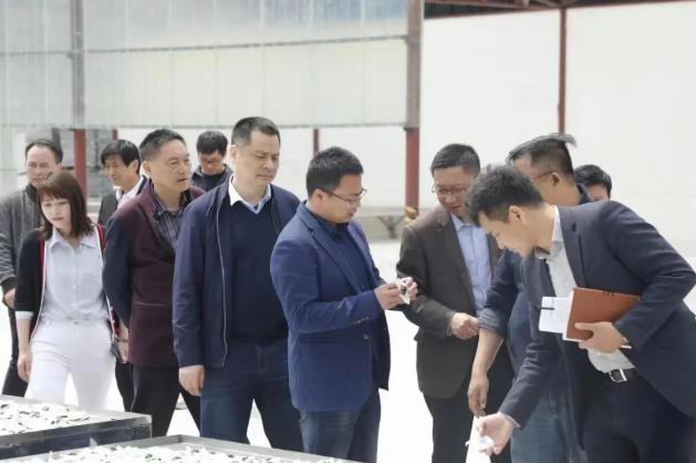 全國人大常委會委員謝廣祥一行領(lǐng)導(dǎo),深入調(diào)研冰雪容黃精產(chǎn)業(yè)園