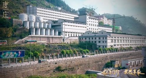 唐莊酒業(yè)實(shí)力圈粉,攜手楊爍傳承醬酒文化