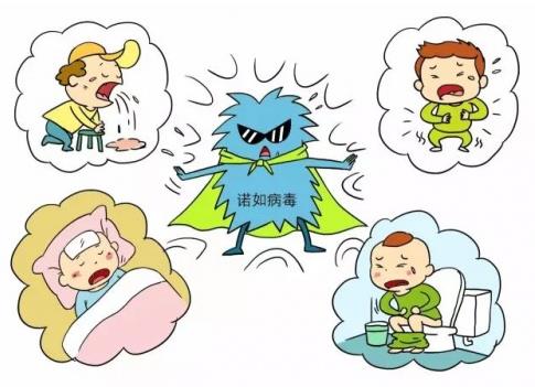 警惕!諾如病毒高發(fā)季,個人與家庭應(yīng)如何預(yù)防?