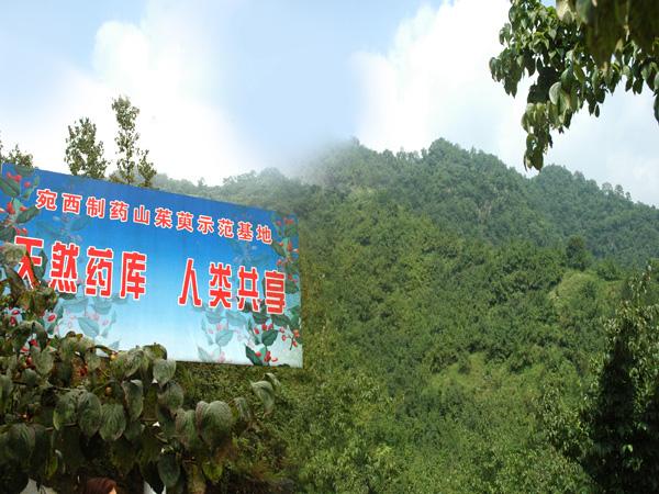 十年等待,《醫(yī)圣》等來了最好的播出時機(jī) 2.jpg