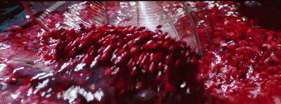 《醫(yī)圣》:六味地黃丸,補(bǔ)腎界的天花板 19.gif