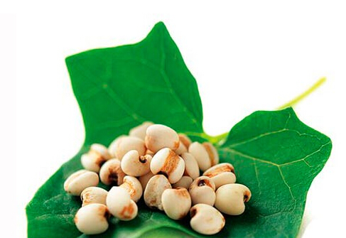 薏米最養(yǎng)人-美白又去皺的薏米食譜