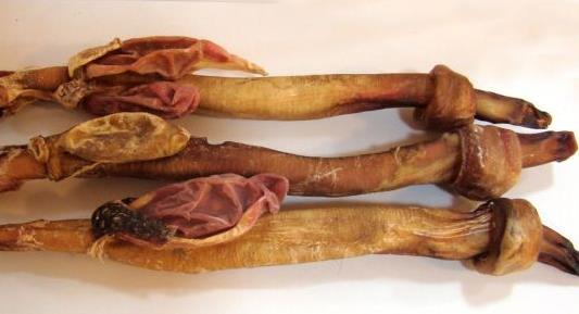 吃動(dòng)物鞭能壯陽嗎？吃動(dòng)物鞭補(bǔ)腎壯陽的禁忌