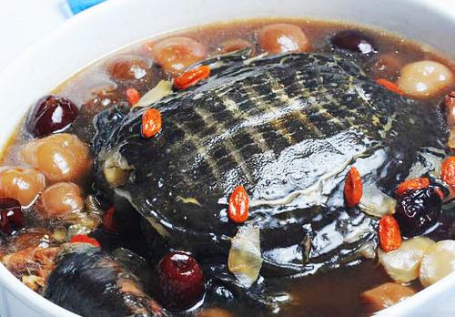 哪些人不適合吃甲魚？食用甲魚的注意事項