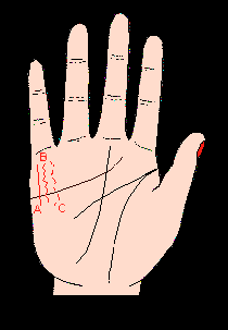 手相財(cái)運(yùn)線，財(cái)運(yùn)線圖解，手相財(cái)運(yùn)線算命圖解