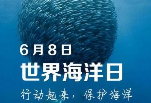 6月8日是什么節(jié)日？世界海洋日是幾月幾日
