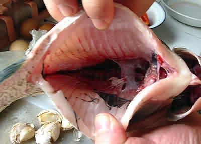 怎么去除手上的魚腥味？手上的魚腥味去除方法