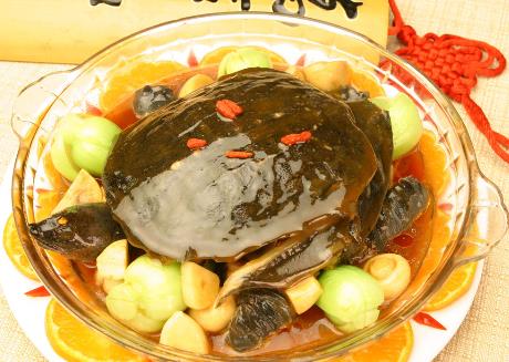 甲魚不能和什么一起吃？吃甲魚有哪些飲食禁忌