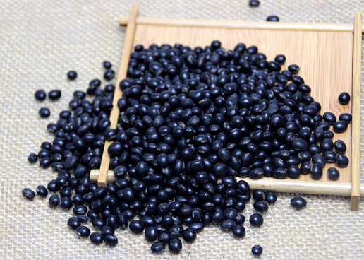 常食黑豆有助懷孕有科學依據(jù)嗎？