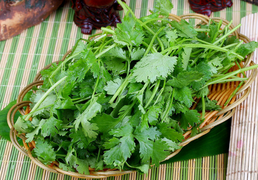 感冒病人飲食要適量-感冒不能吃什么？