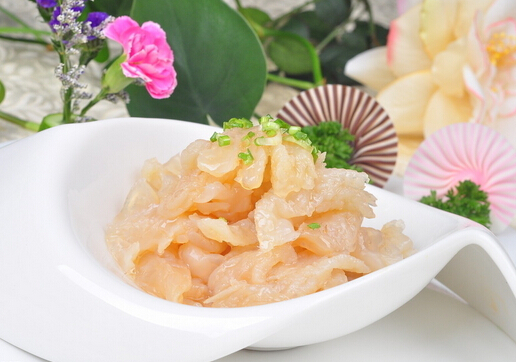 海蜇是水母嗎？海蜇是水母嗎