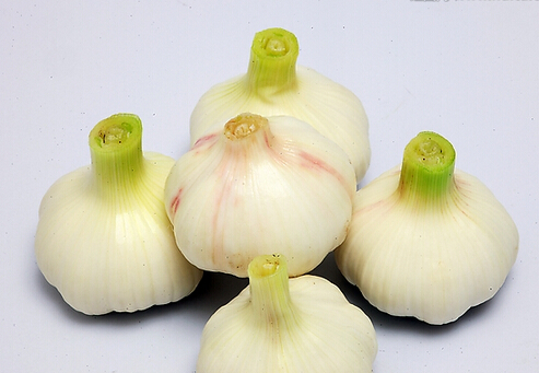 怎么吃大蒜才能有效預(yù)防癌癥？