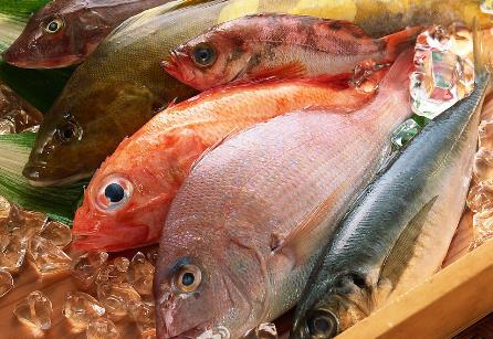 吃哪種魚可補(bǔ)肝益氣？各種魚肉的保健功效