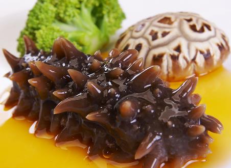 海參不能和什么一起吃？海參的5大食用禁忌