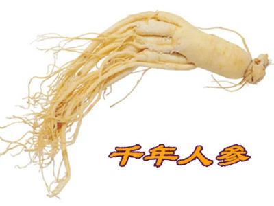 什么人不能吃人參？人參果怎么吃最好