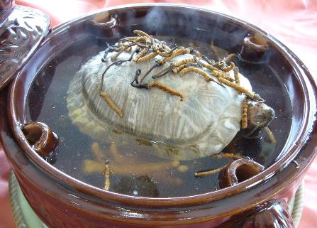 喝甲魚血能治陽(yáng)痿嗎？吃甲魚血的好處