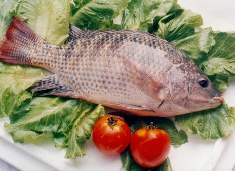 吃魚(yú)肉的營(yíng)養(yǎng)價(jià)值高：吃帶魚(yú)可保持皮膚濕潤(rùn)彈性