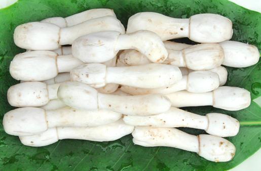 雞腿菇的營(yíng)養(yǎng)價(jià)值-雞腿菇的功效與作用