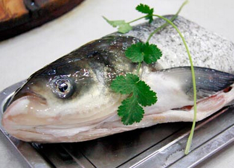 食用青根魚的注意事項(xiàng)-青根魚的營養(yǎng)價值