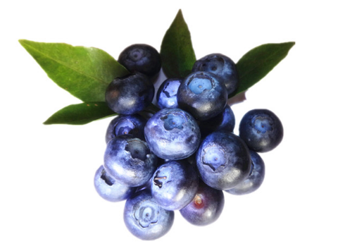 藍(lán)莓的營養(yǎng)價(jià)值-藍(lán)莓怎么吃？