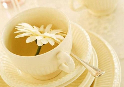 小孩能喝茶飲料嗎？茶飲料的功效
