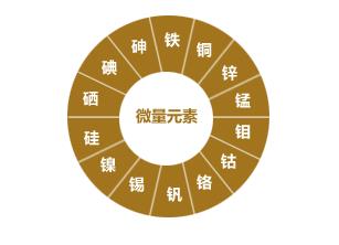 微量元素有哪些呢？微量元素的作用