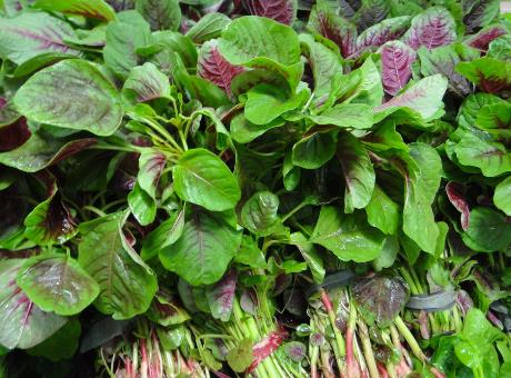 吃莧菜好嗎？莧菜的營(yíng)養(yǎng)價(jià)值、功效與作用