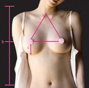 胸圍怎么算？你的胸圍是否標(biāo)準(zhǔn)？女人完美乳房標(biāo)準(zhǔn)詳細(xì)圖解
