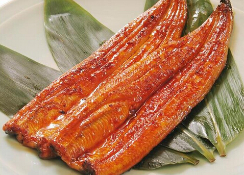 鰻魚多少錢一斤？鰻魚如何挑選