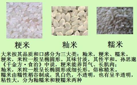 如何鑒別糯米中摻有大米？糯米和大米的區(qū)別