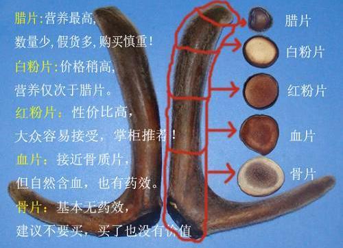 鹿茸片怎么看真假？鹿茸片真假的辨別方法