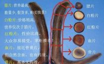 鹿茸片怎么看真假？鹿茸片真假的辨別方法