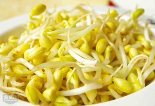 如何發(fā)黃豆芽？家庭怎么發(fā)黃豆芽