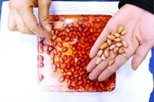 如何鑒別染色花生米？怎樣識別真假花生米