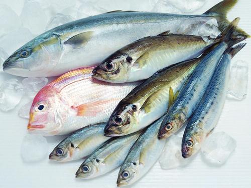 如何區(qū)別冰鮮魚(yú)與速凍魚(yú)？鑒別海鮮干品質(zhì)量好壞優(yōu)劣的方法