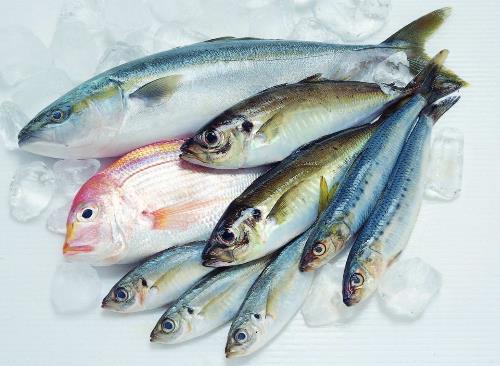 如何鑒別污染魚？鑒別污染魚的方法與技巧