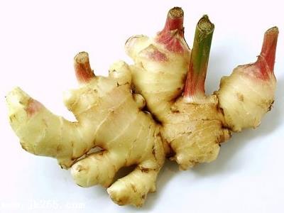 生姜發(fā)芽了還可以吃嗎？發(fā)芽的生姜能吃嗎
