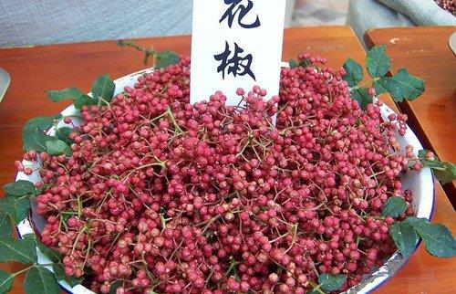 如何識(shí)別有毒花椒？毒花椒的鑒別方法