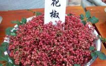 如何識別有毒花椒？毒花椒的鑒別方法