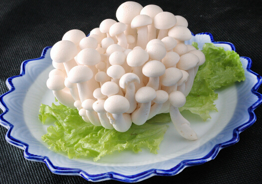 白玉菇的做法-白玉菇的營養(yǎng)價(jià)值