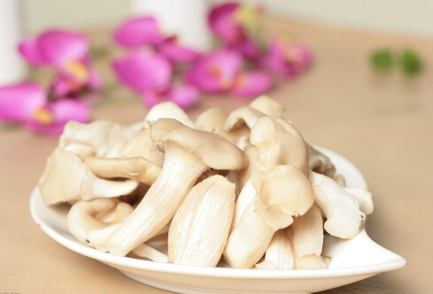 平菇的適宜人群與營(yíng)養(yǎng)-平菇怎么做好吃？