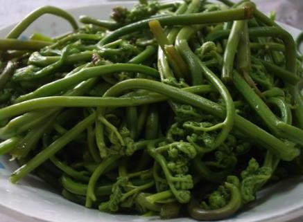 蕨菜怎么做好吃？蕨菜的做法大全