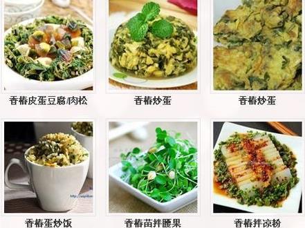 香椿怎么做好吃？香椿的做法