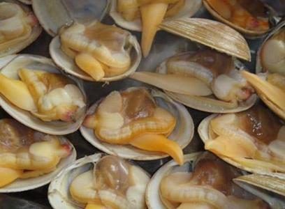 黃蜆子怎么吐沙子？怎么讓蜆子吐沙子？黃蜆子的清洗方法