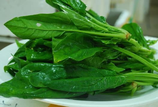 菠菜怎么吃更有營養(yǎng)？菠菜怎么吃更健康
