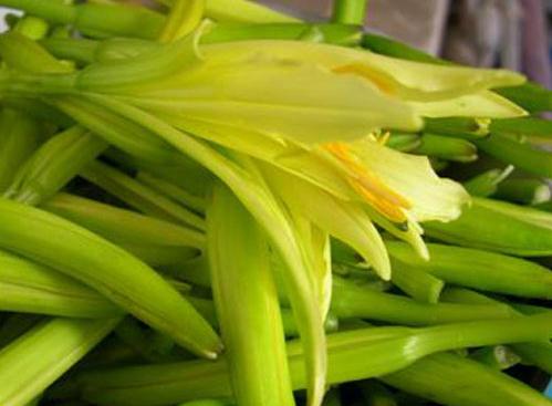 黃花菜怎么做好吃？黃花菜的吃法