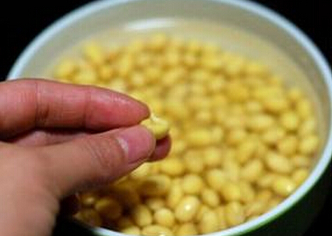 發(fā)芽豆還可以用嗎？發(fā)芽豆打豆?jié){更鮮美